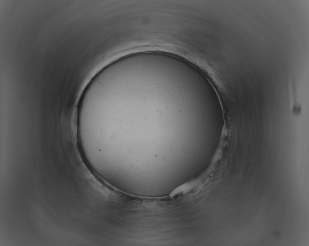 X0000089961516200707131526