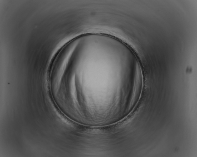 X0000089961517200707131526