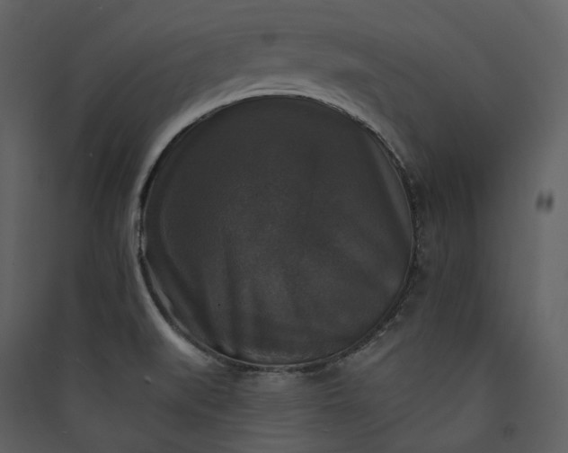X0000089961519200707131526