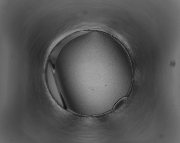 X0000089961520200707131526