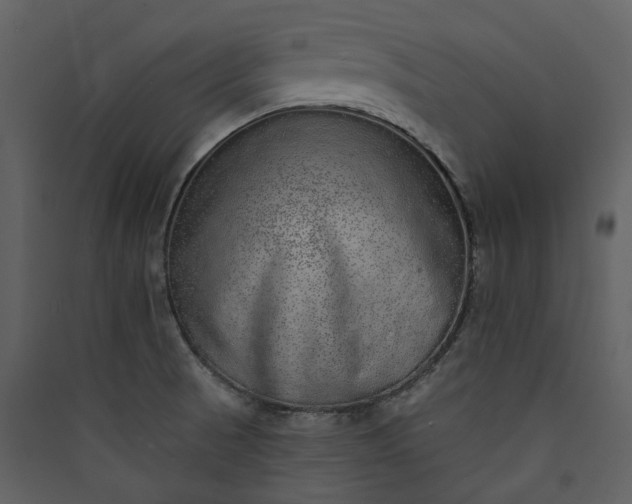 X0000089961521200707131526