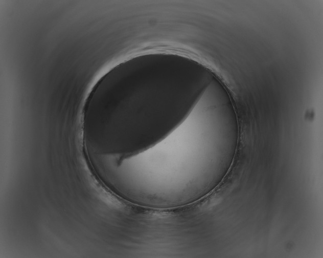 X0000089961522200707131526
