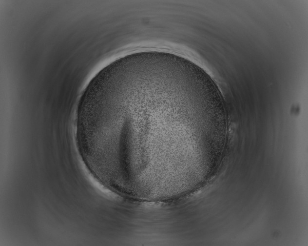 X0000089961523200707131526