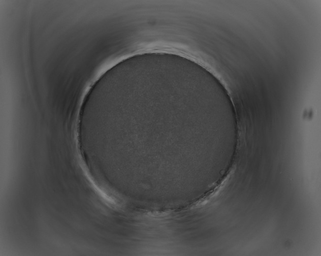 X0000089961525200707131526