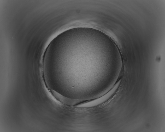 X0000089961528200707131526