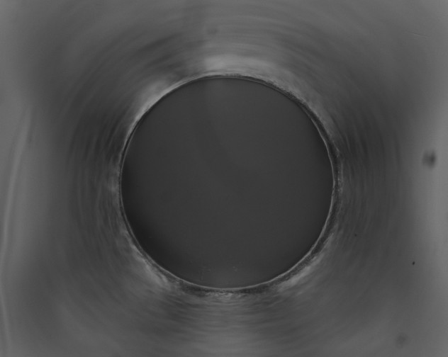 X0000089961529200707131526