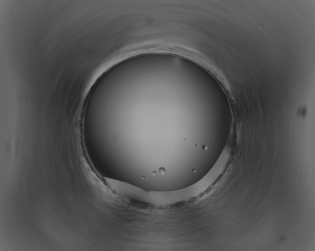 X0000089961530200707131526