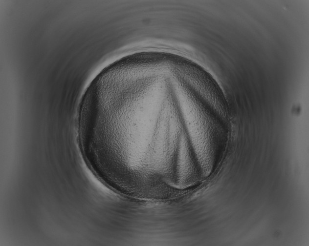 X0000089961531200707131527