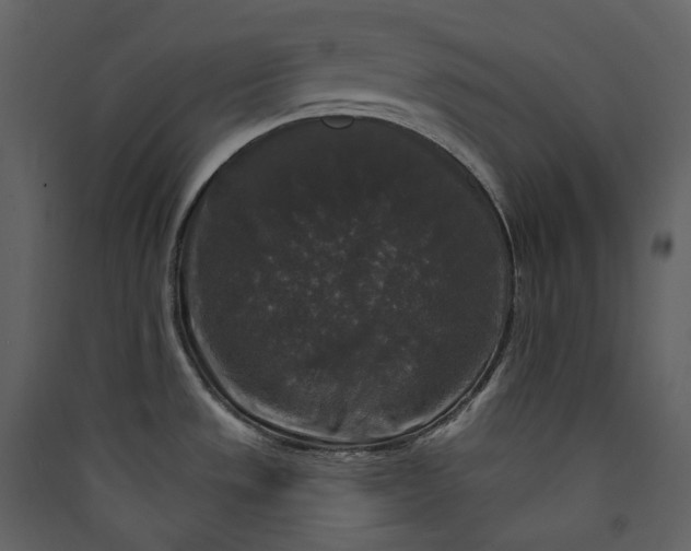 X0000089961533200707131527