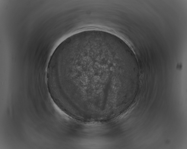 X0000089961535200707131527