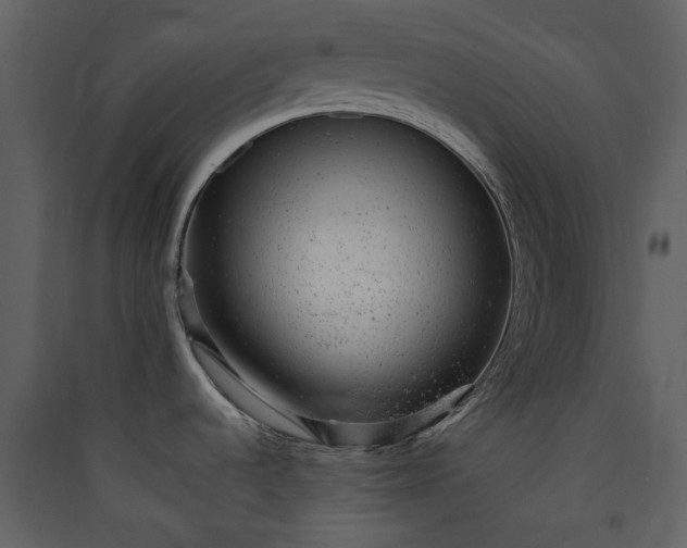 X0000089961536200707131527
