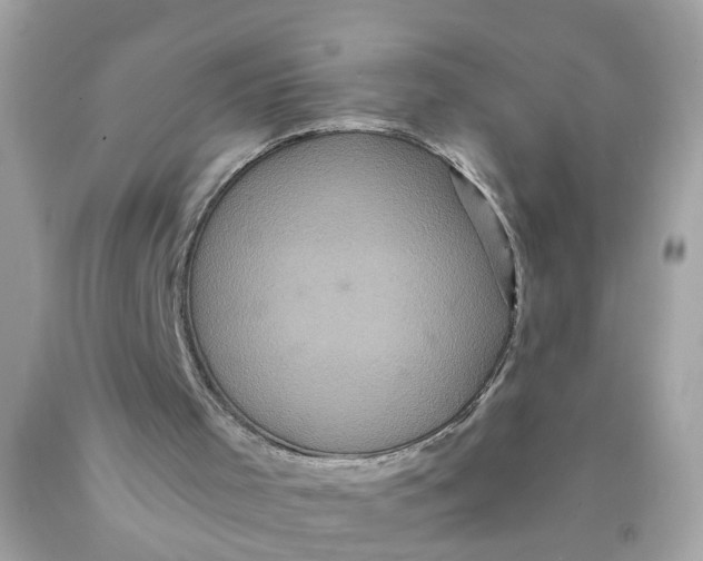 X0000089960001200707201959