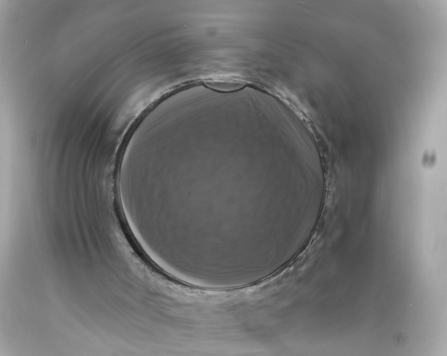 X0000089960002200707201959