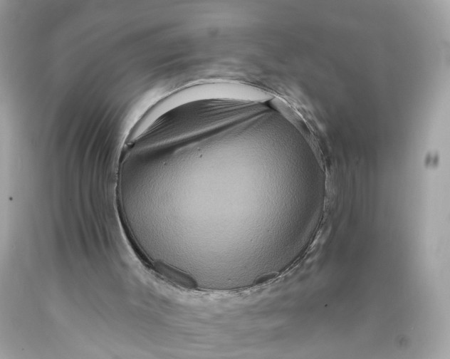 X0000089960003200707201959