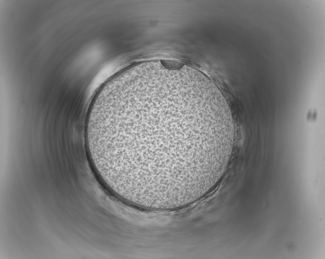 X0000089960004200707201959