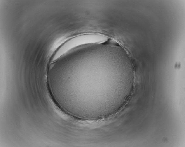 X0000089960005200707201959