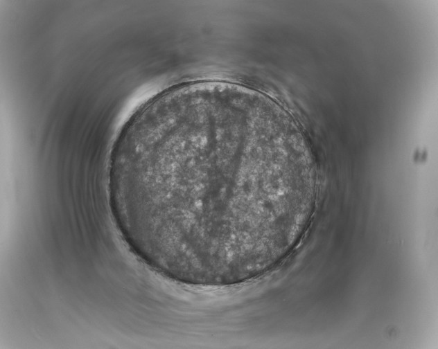 X0000089960006200707201959