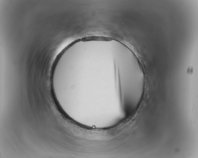 X0000089960008200707201959