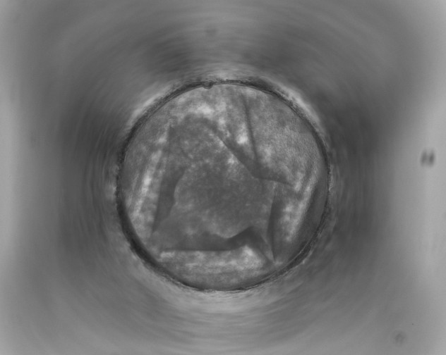 X0000089960010200707201959