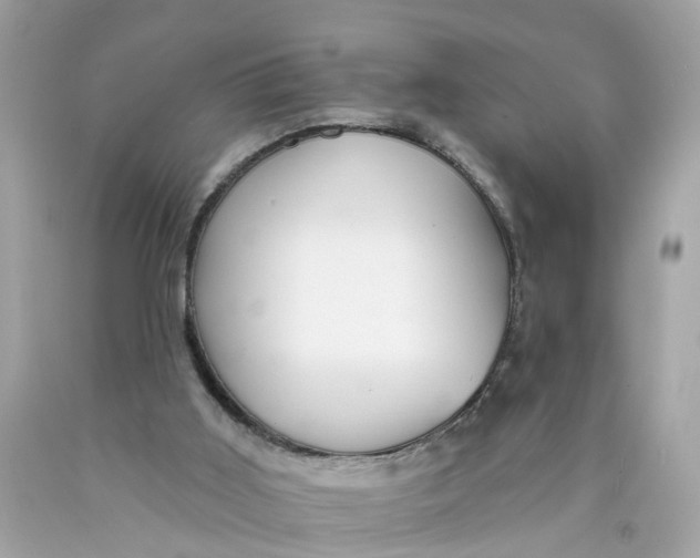 X0000089960011200707201959