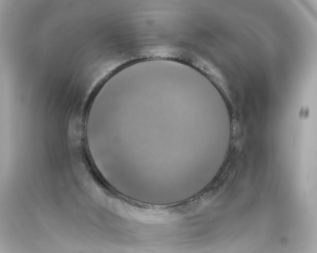 X0000089960012200707201959