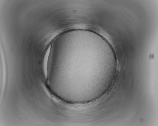 X0000089960013200707201959