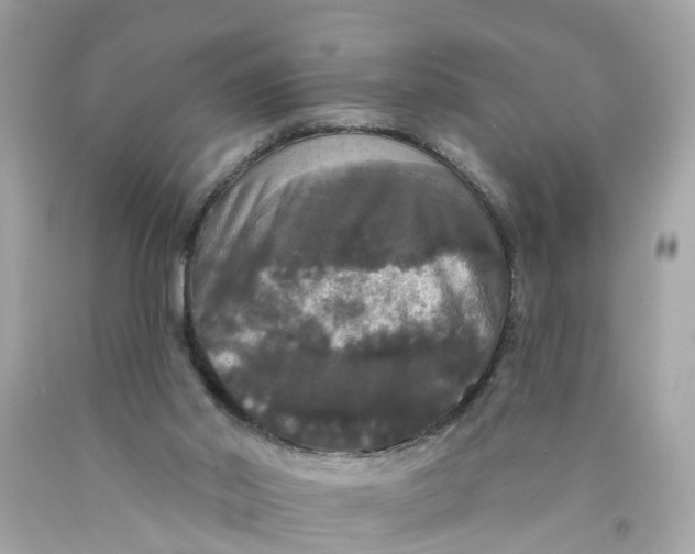 X0000089960014200707201959