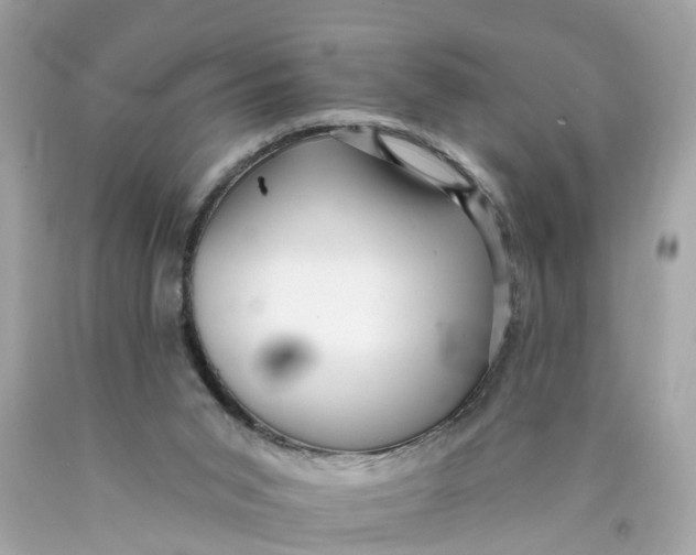 X0000089960015200707201959