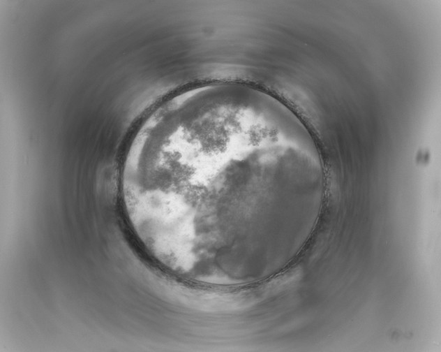 X0000089960016200707201959