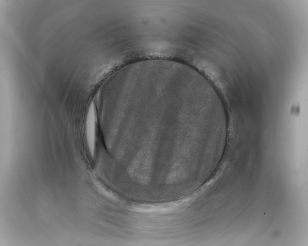 X0000089960017200707201959