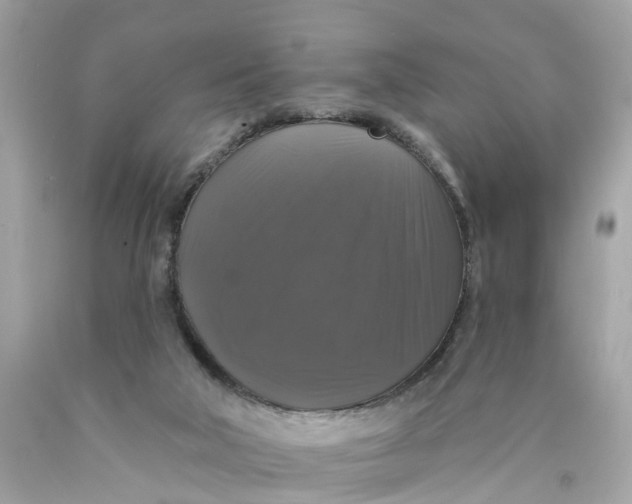 X0000089960018200707201959