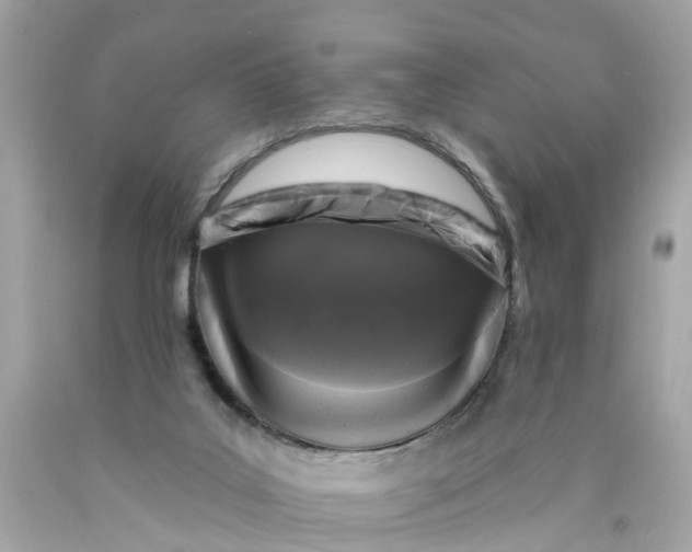 X0000089960019200707201959