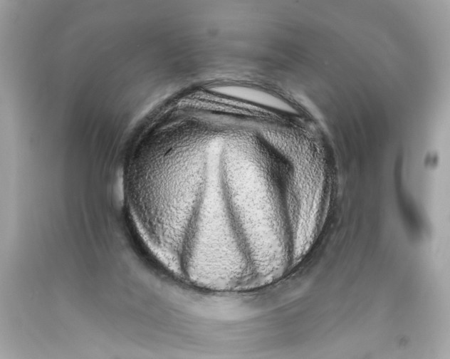 X0000089960020200707201959