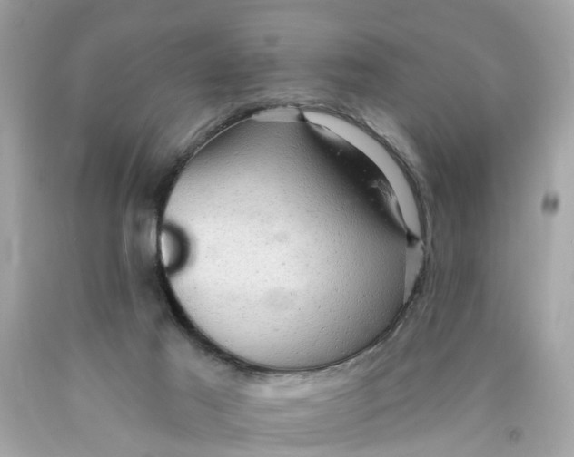 X0000089960021200707201958