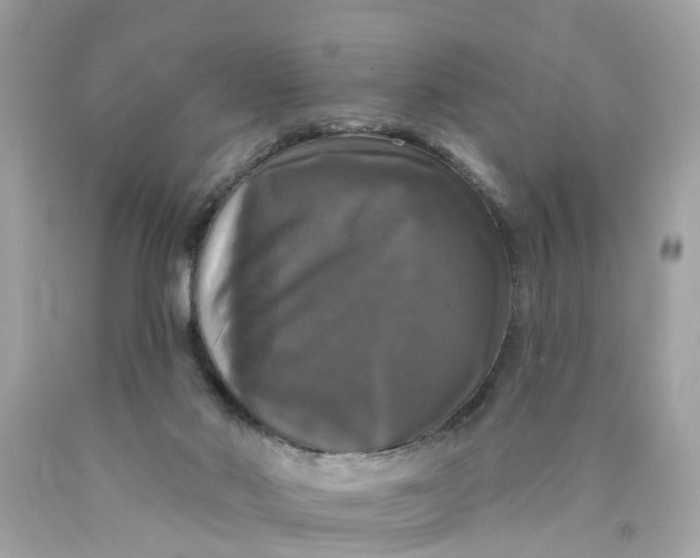 X0000089960022200707201958