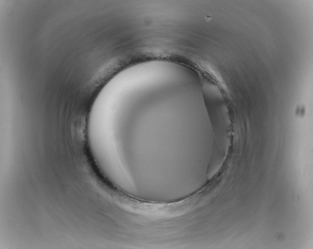 X0000089960023200707201958