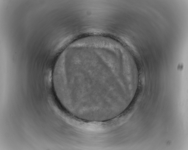 X0000089960024200707201958