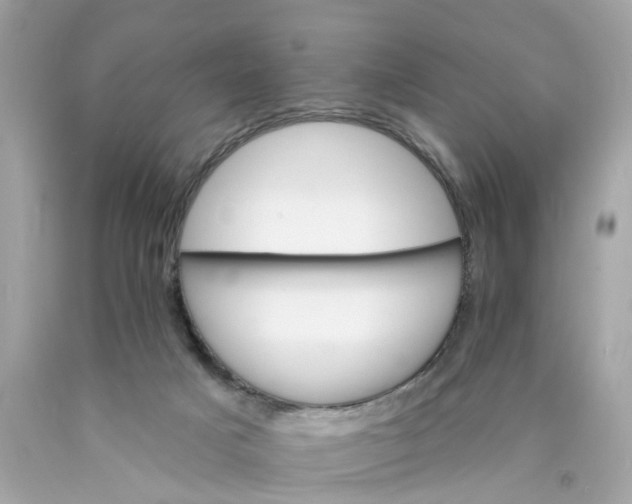 X0000089960025200707201958