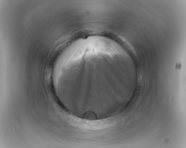 X0000089960026200707201958