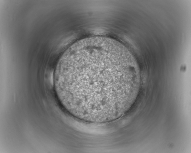 X0000089960028200707201958