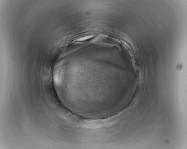 X0000089960029200707201958