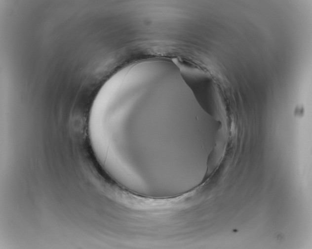 X0000089960031200707201958