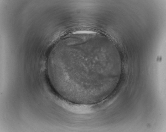 X0000089960032200707201958