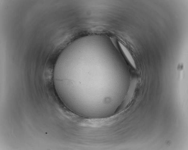 X0000089960033200707201958