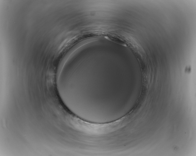 X0000089960035200707201958