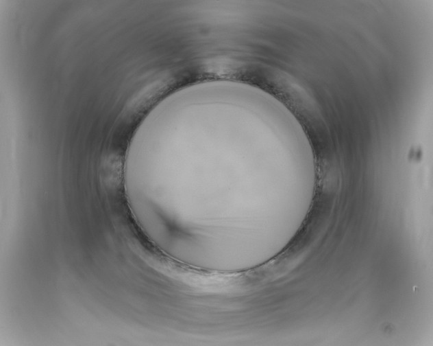 X0000089960036200707201958