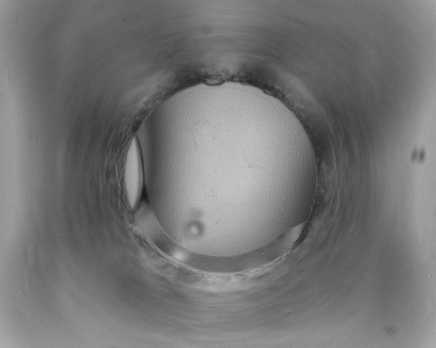 X0000089960037200707201958