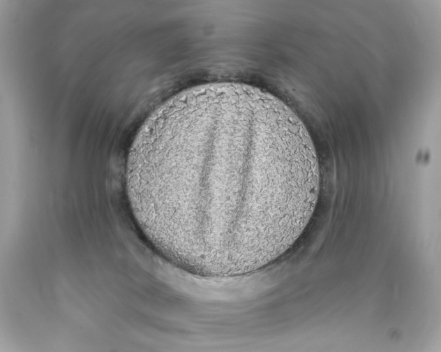 X0000089960038200707201958