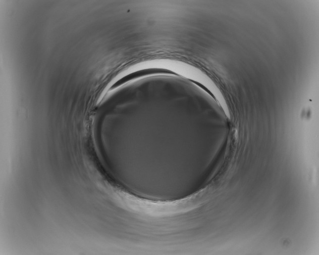 X0000089960039200707201958