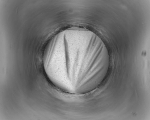 X0000089960040200707201958